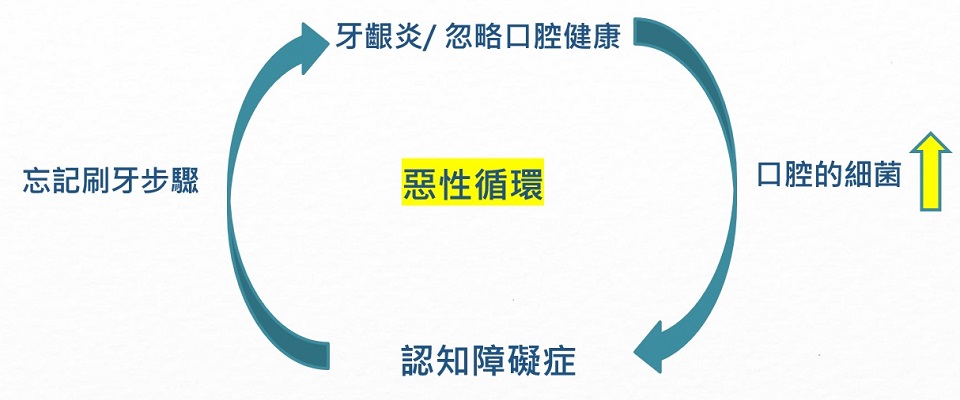 賽馬會智齒保健計劃-認知障礙症與口腔健康關係