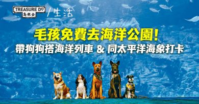 毛孩免費去海洋公園！帶狗狗搭海洋列車 & 同太平洋海象打卡　聖誕過年一樣可入園