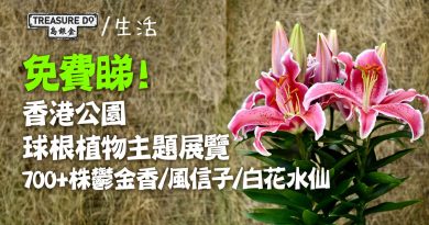 香港公園球根植物主題展覽　700+株鬱金香/ 風信子/ 白花水仙　1月9號起免費睇！