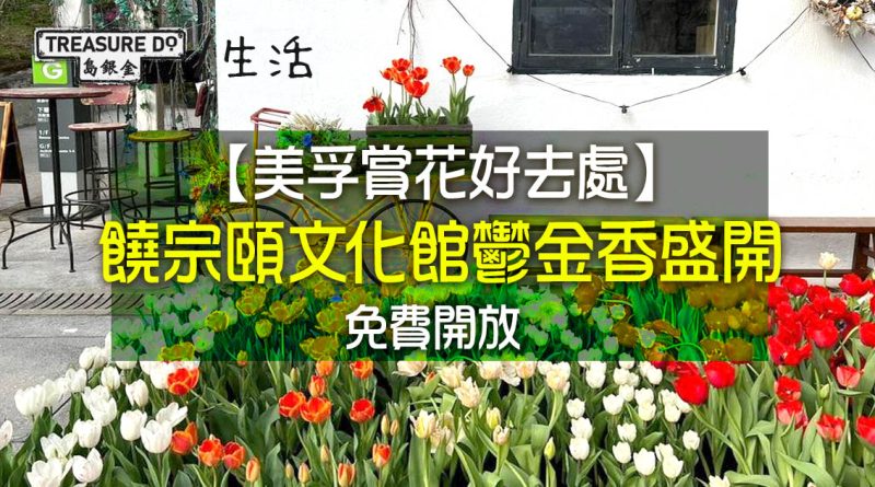 美孚賞花好去處｜饒宗頤文化館幾千朵鬱金香盛開　百年歷史古蹟免費入場打卡