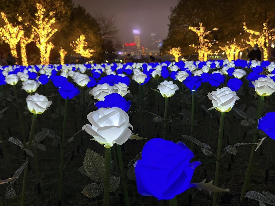 玫瑰花燈海-LED