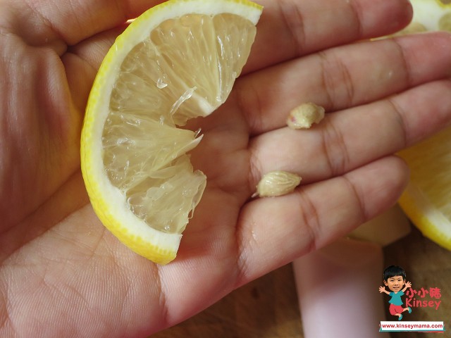 陳皮冰糖燉檸檬-做法2