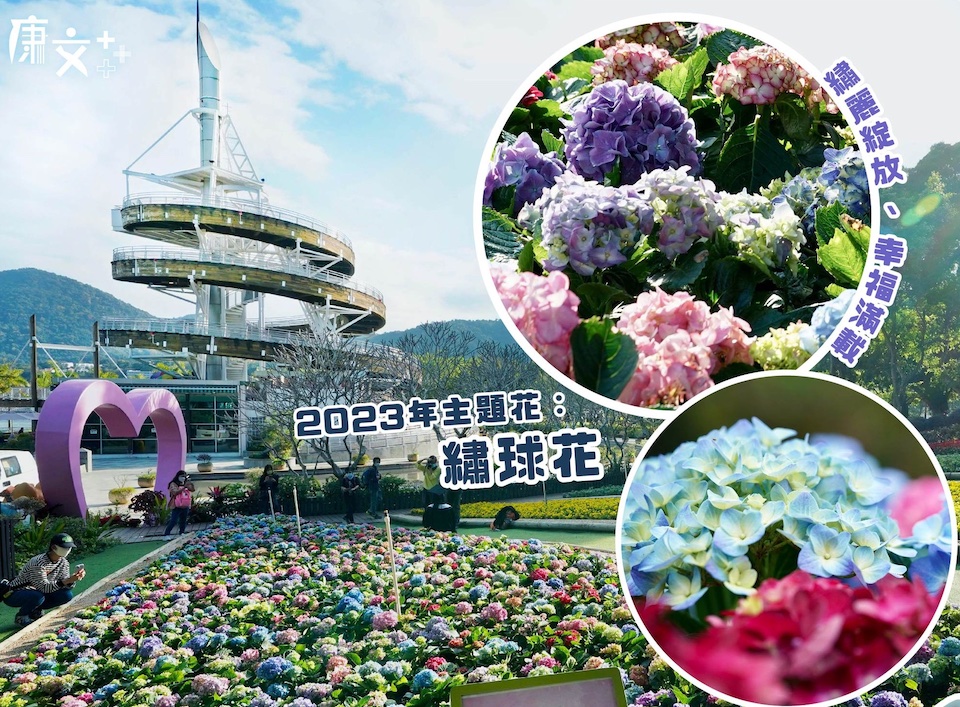 大埔海濱公園繡球花