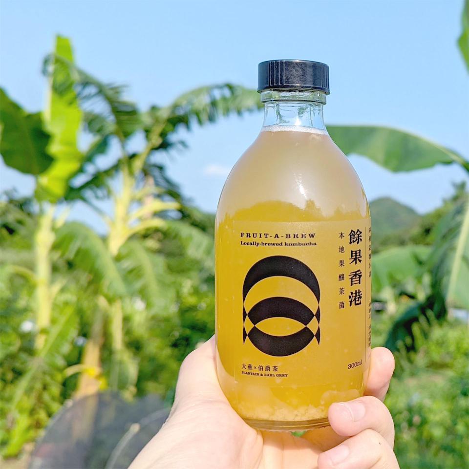 花見大館2023-本地果釀茶菌工作坊
