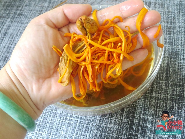 蟲草花姬松茸螺片排骨湯3