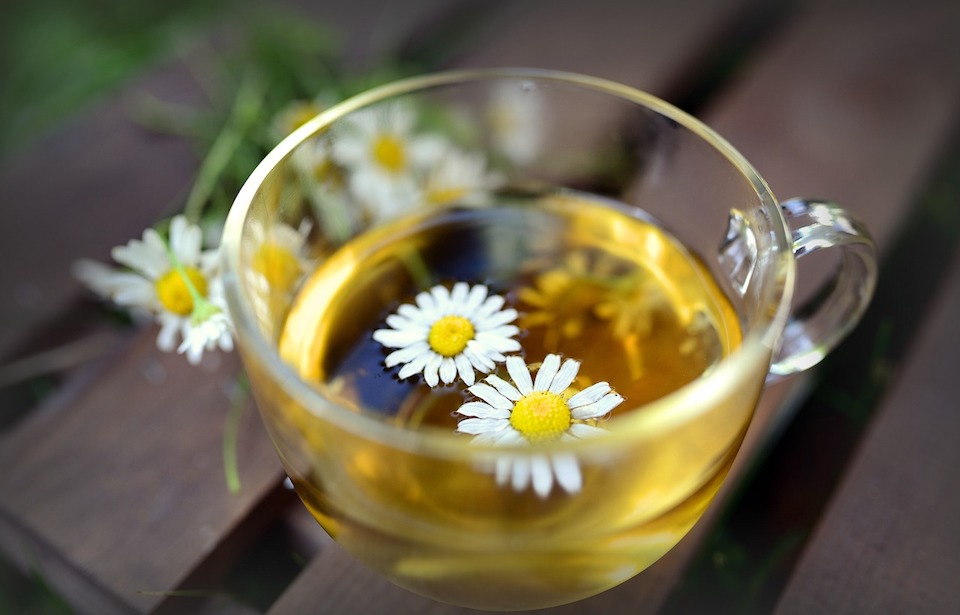 飲茶-洋甘菊茶