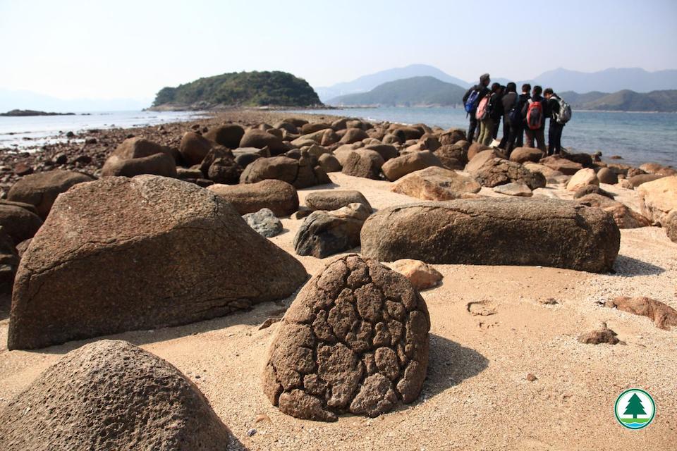 橋咀洲-菠蘿包石