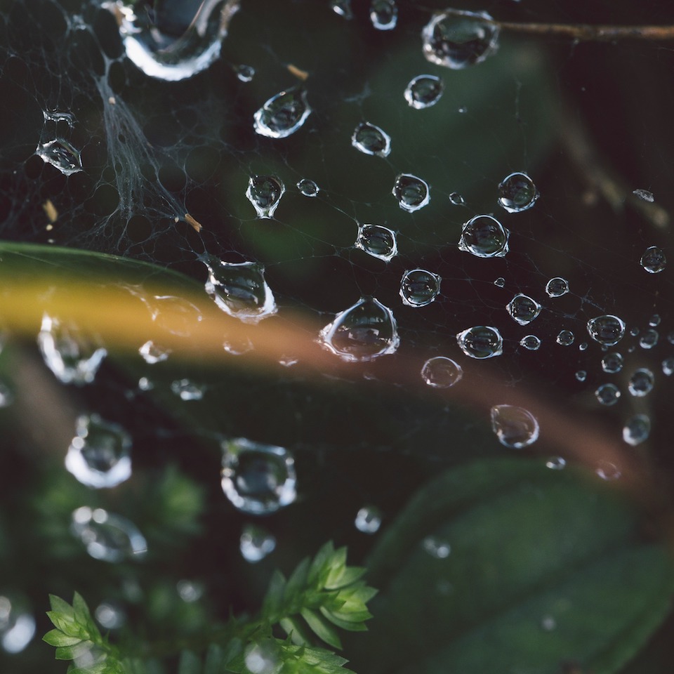 禪藝展覽-常霖法師