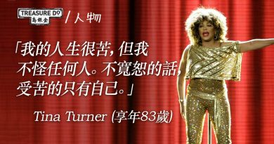 美國搖滾天后Tina Turner逝世　享年83歲　曾飽受家暴/輕生/兩度喪子