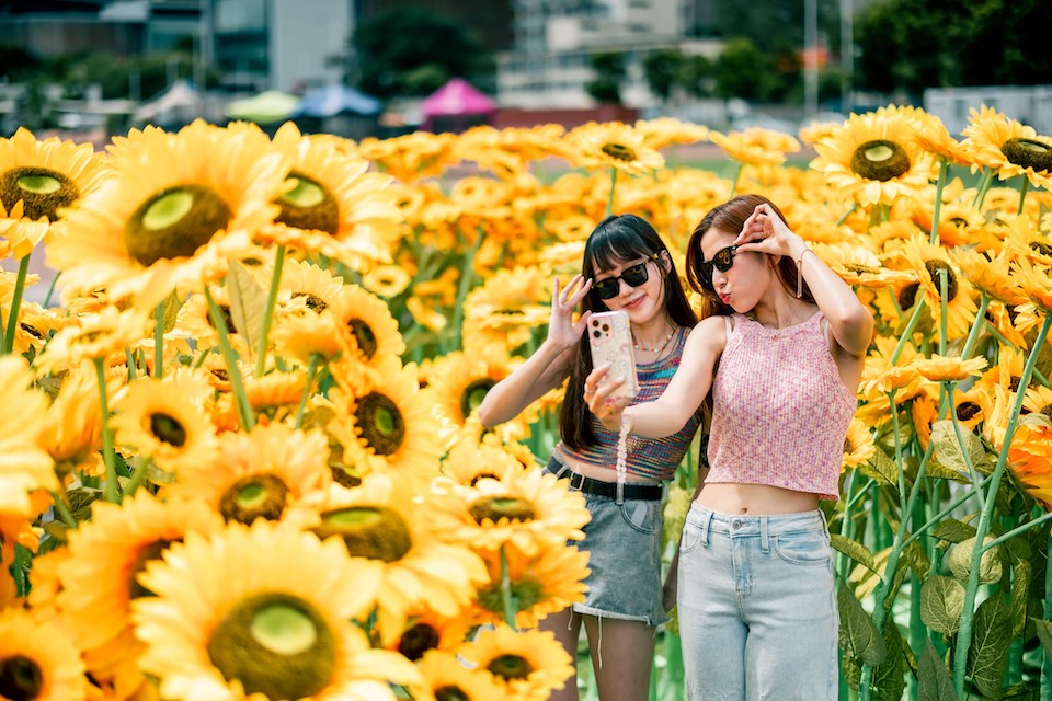 中環夏誌-太陽花