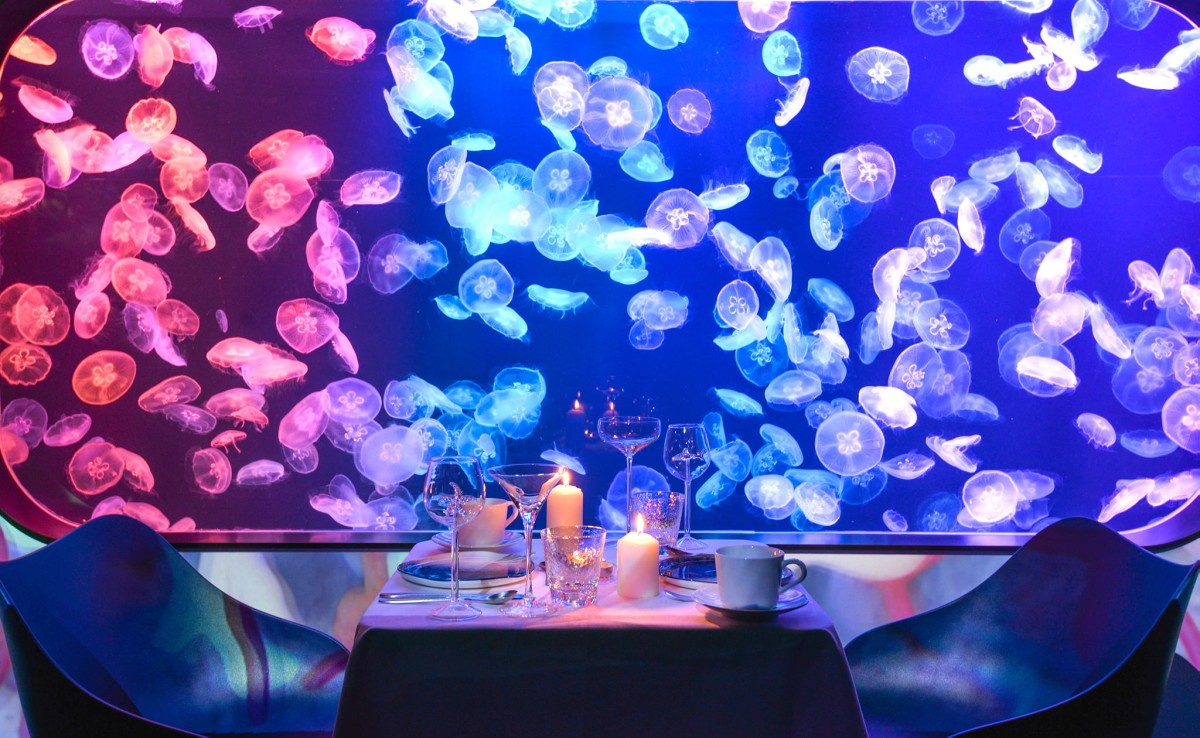 海洋探索體驗館-餐飲