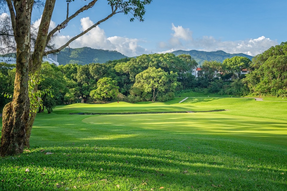粉嶺舊球場生態公園