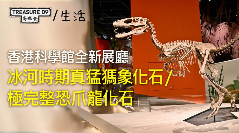 香港科學館全新常設「古生物展廳」　展出100+組珍貴動植物化石