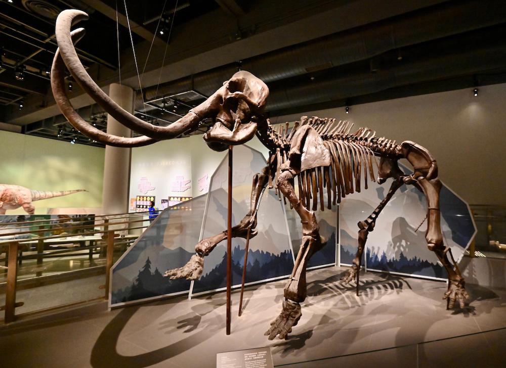 古生物展廳1