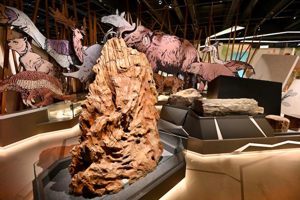 古生物展廳2