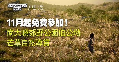 11月起免費參加！南大嶼郊野公園伯公坳　芒草自然導賞　即睇舉辦日期＆時間