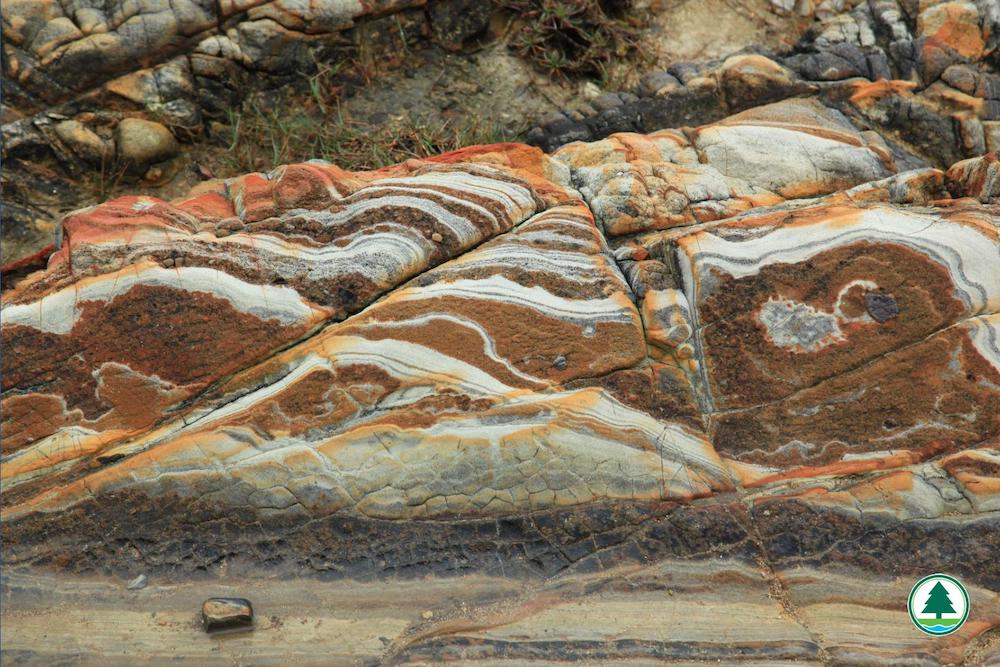 荔枝莊地質景點2