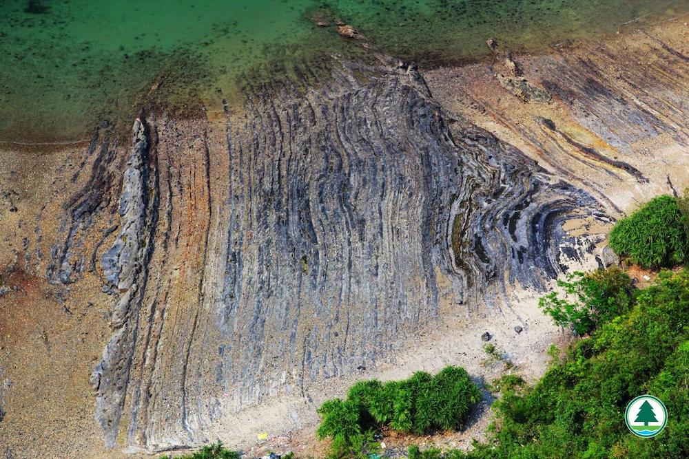 荔枝莊地質景點3