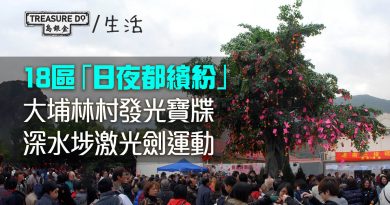 18區「日夜都繽紛」｜大埔林村發光寶牒　深水埗激光劍運動