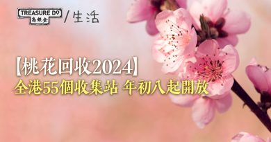 桃花回收2024｜全港55個收集站年初八起開放　回收桃花將轉化成再生產品