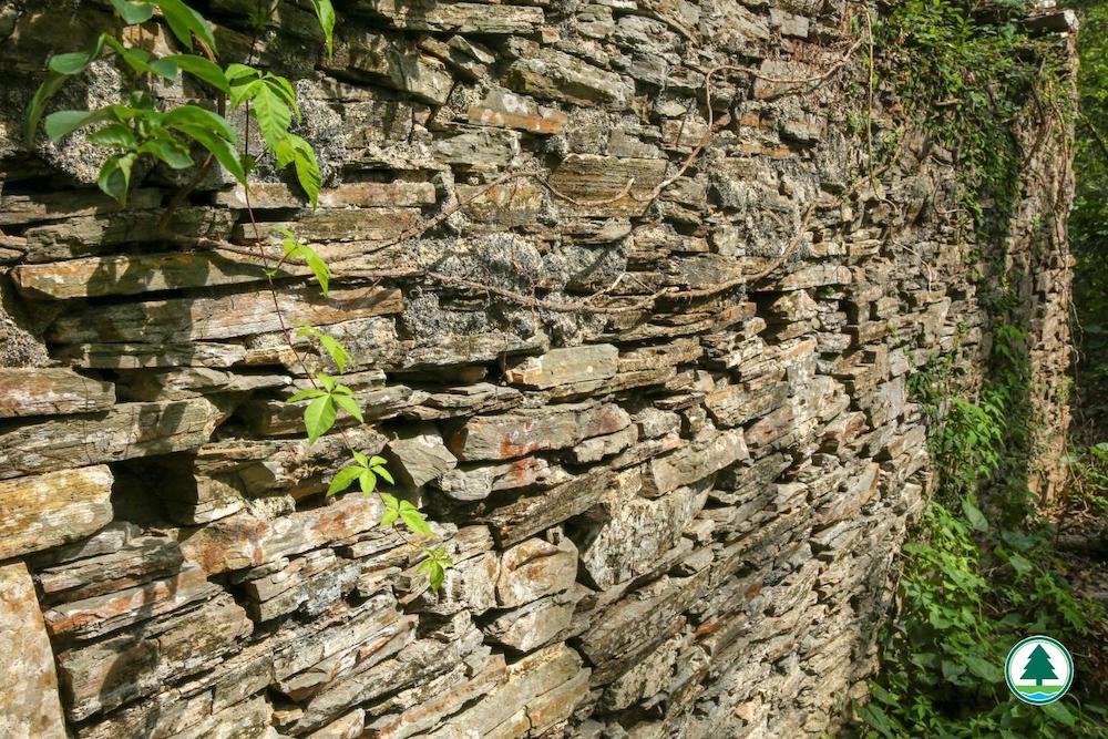 東平洲-沉積岩牆