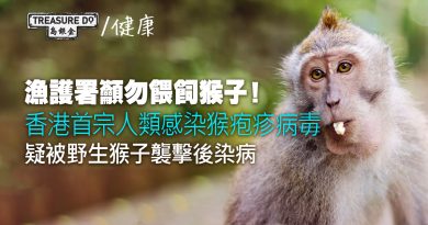 香港首宗人類感染猴疱疹病毒！疑被野生猴子襲擊後染病　漁護署籲勿餵飼猴子