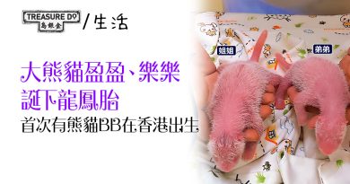 大熊貓盈盈、樂樂誕下龍鳳胎　首次有熊貓BB在香港出生