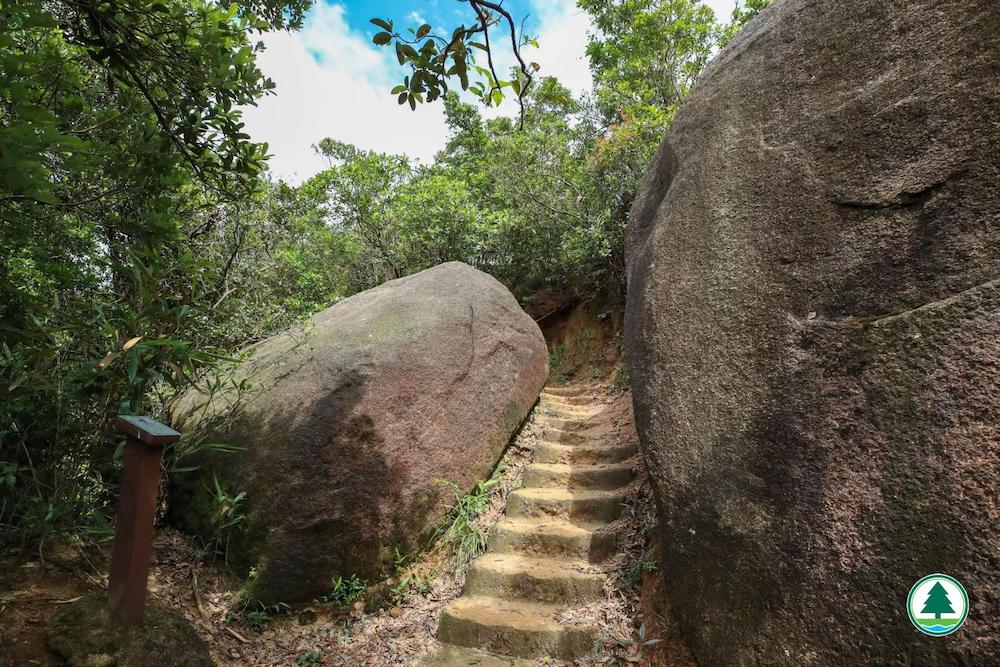 康柏郊遊徑-太古