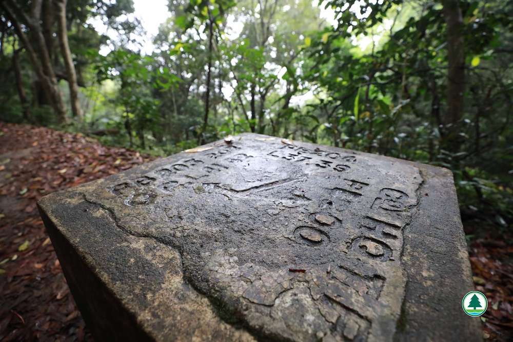 獅子山戰地遺跡徑-指示石