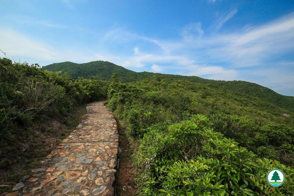 砵甸乍山郊遊徑-港島