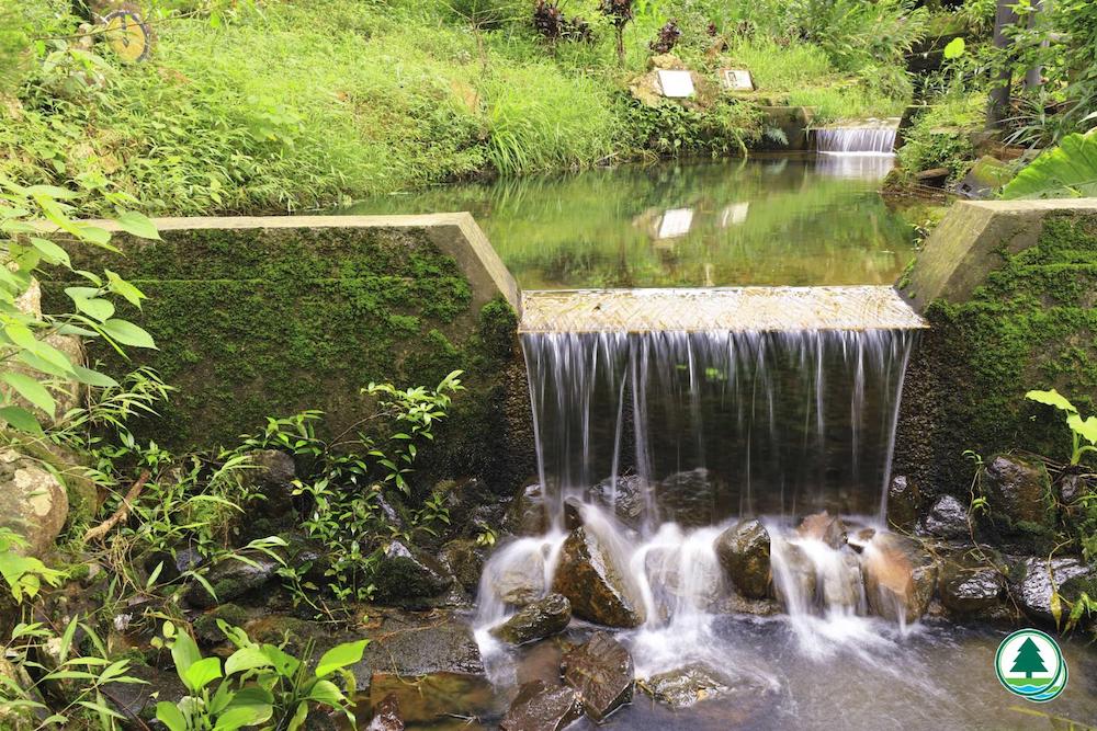 荃錦自然教育徑-水池