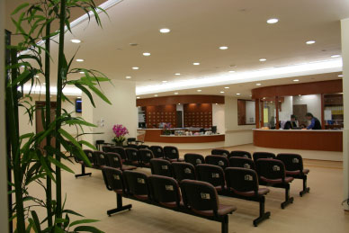 冬季三九天灸服務