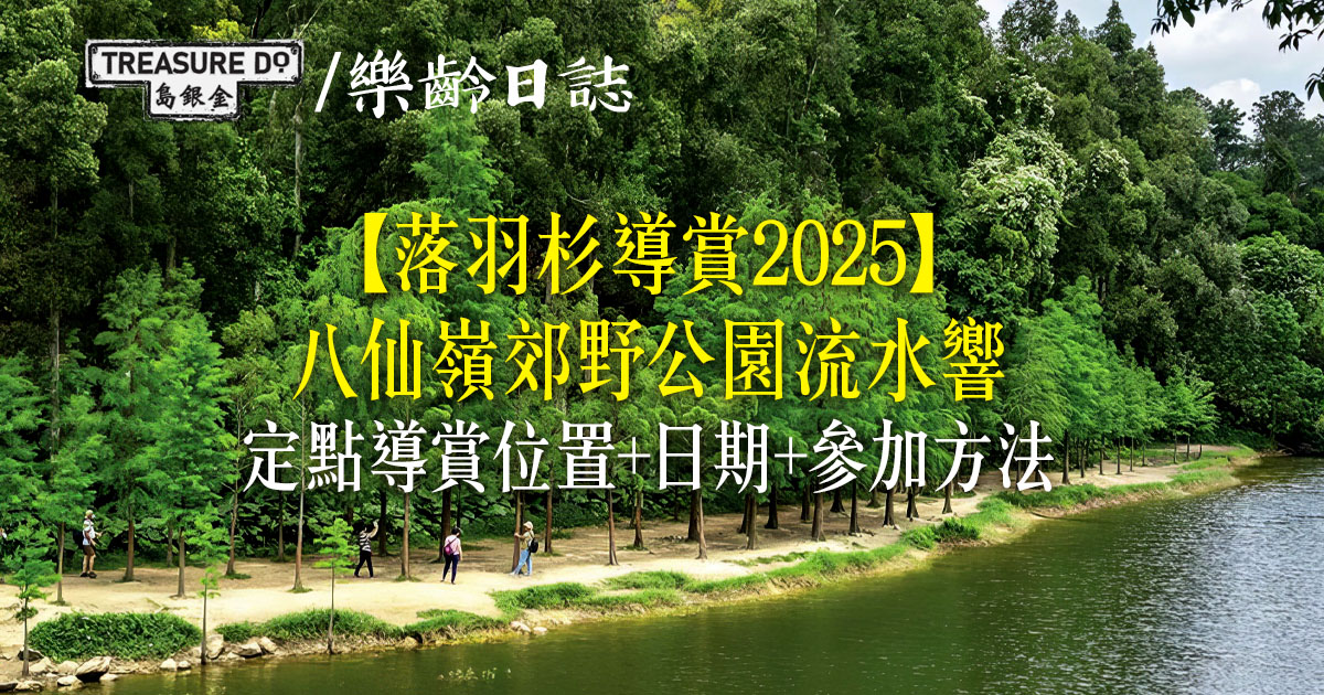 落羽杉導賞2025｜八仙嶺郊野公園流水響　定點導賞位置+日期+參加方法