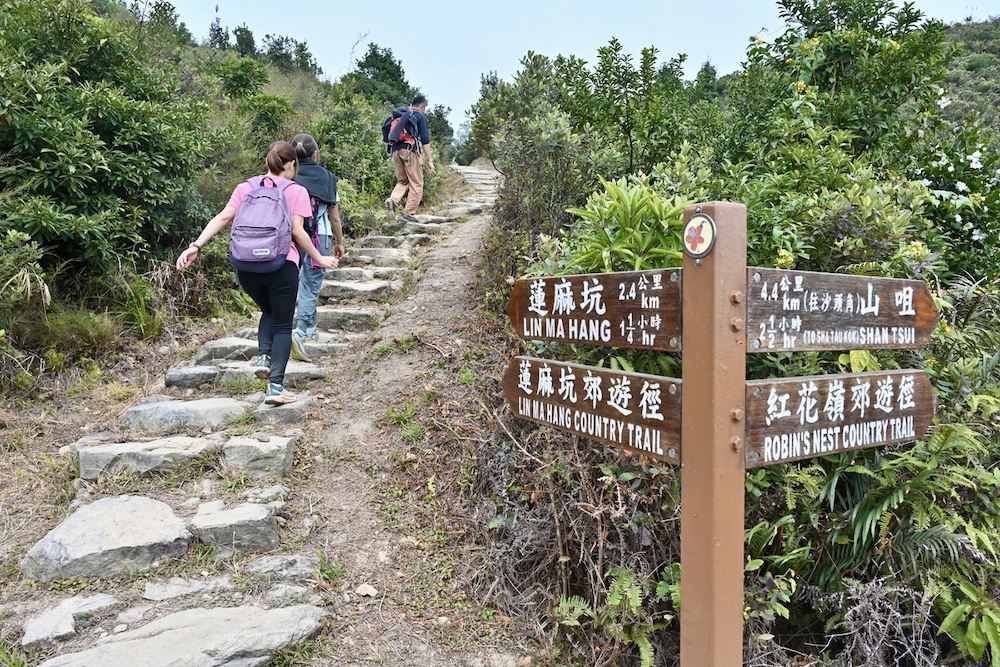 蓮麻坑鉛礦洞-郊遊徑