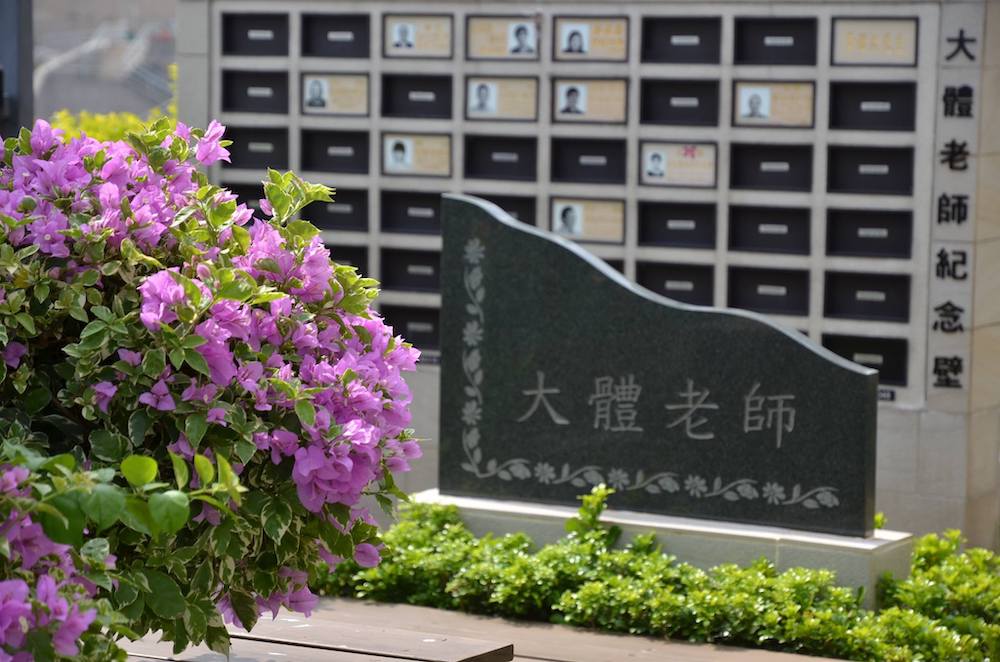 大體老師-香港大學