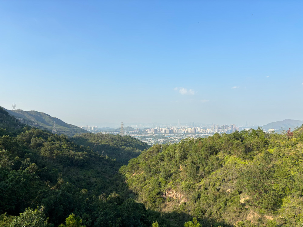 郊野公園遠足植樹日2025-大欖
