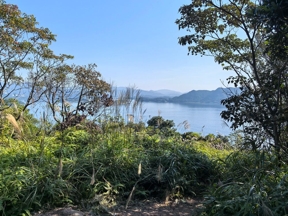 郊野公園遠足植樹日2025-馬鞍山