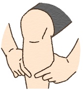 肌少症風險-低