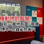 科學館「智能—萬物有靈」展覽　介紹智慧在物種間的多樣性