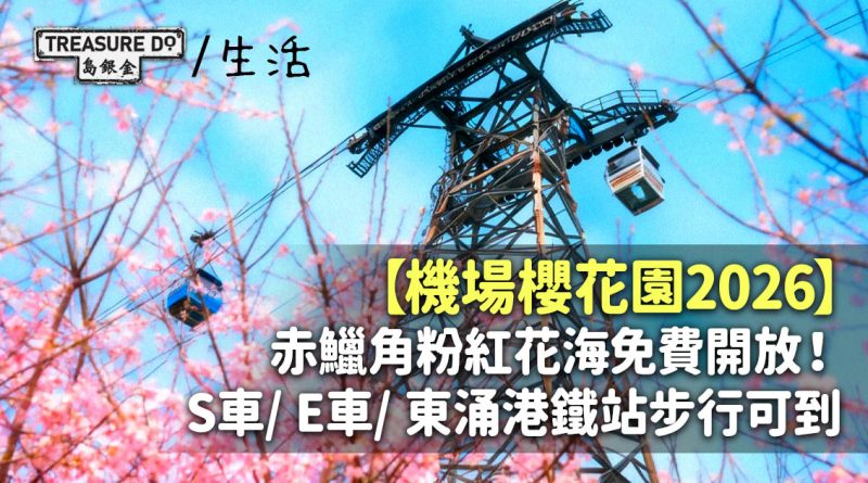 機場櫻花園2026｜赤鱲角粉紅花海免費開放！S車/ E車/ 東涌港鐵站步行可到