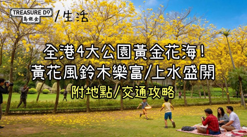賞花好去處｜全港4大公園黃金花海！黃花風鈴木樂富/上水盛開 (附地點/交通攻略)