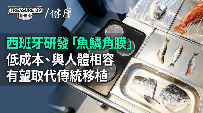 角膜受損有救！西班牙研發「魚鱗角膜」低成本/與人體相容　有望取代傳統移植