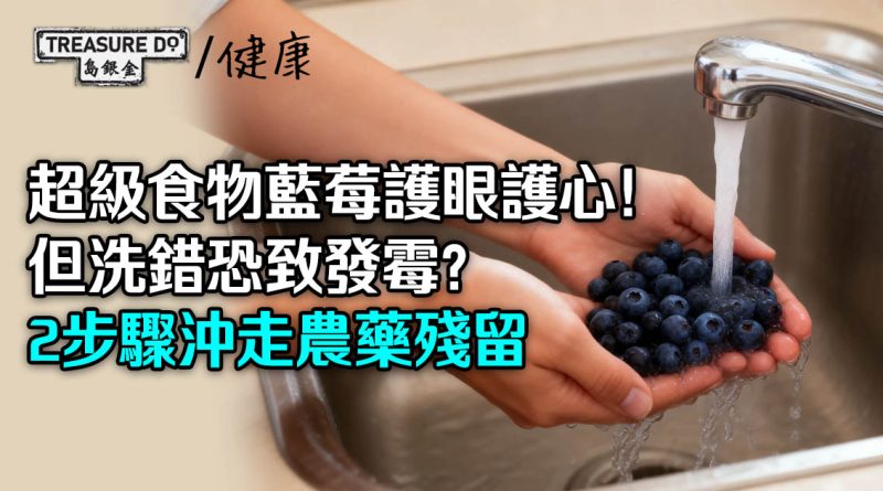 超級食物藍莓護眼護心！但洗錯恐致發霉？正確清洗藍莓2步驟沖走農藥殘留