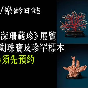 尖沙咀《深珊藏珍》展覽　120件珊瑚珠寶及珍罕標本　免費入場 (附預約方法)