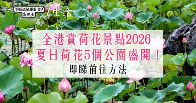 賞花好去處2026｜夏日粉紅荷花5個公園有得睇！(附開花情況＆前往方法)