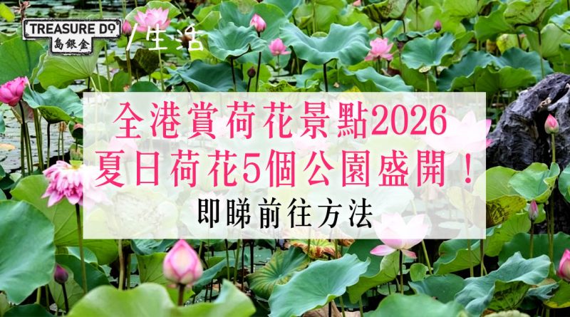 賞花好去處2026｜夏日粉紅荷花5個公園有得睇！(附開花情況＆前往方法)